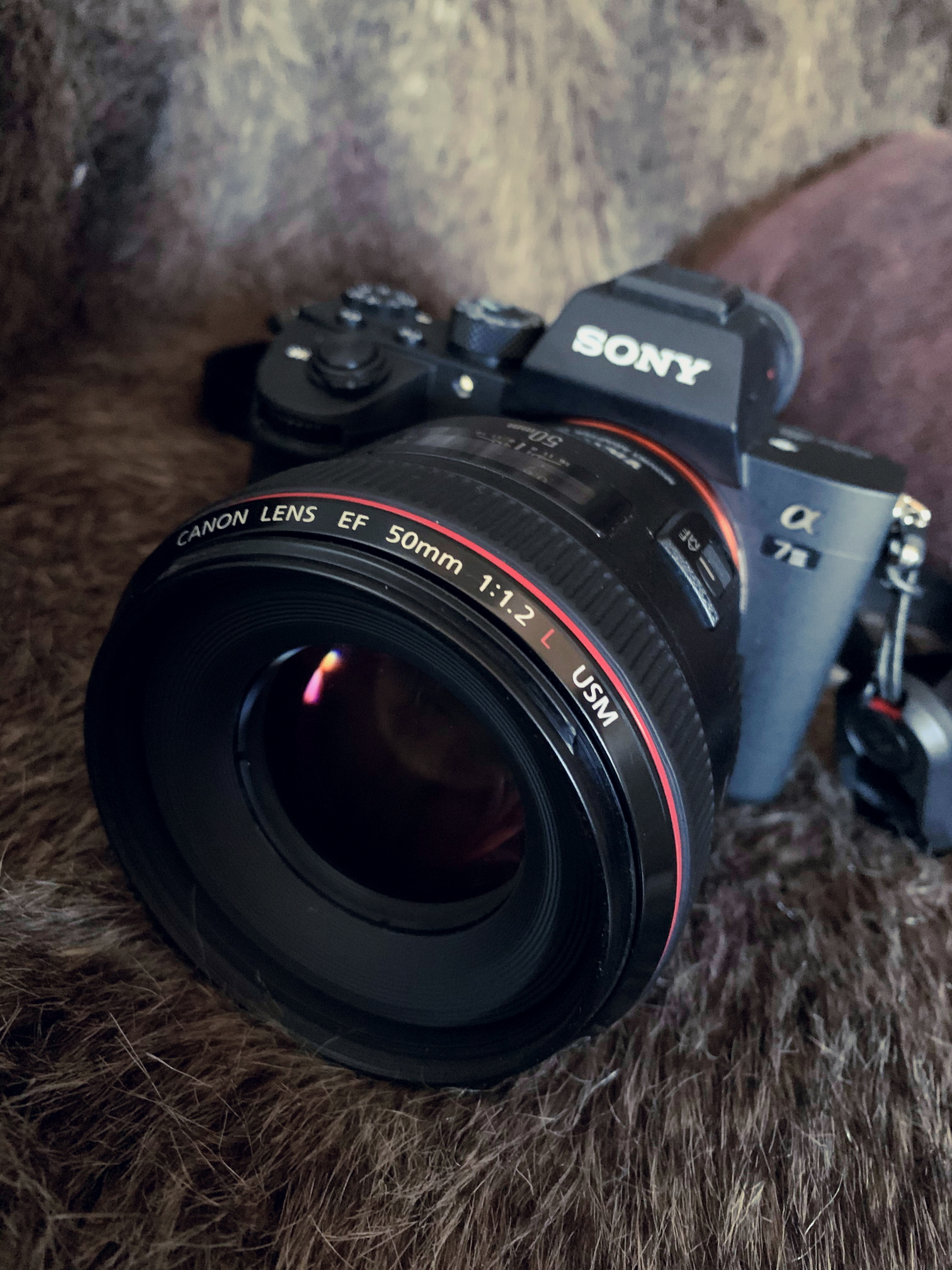 2020 01 06 14 48 IMG 0722r