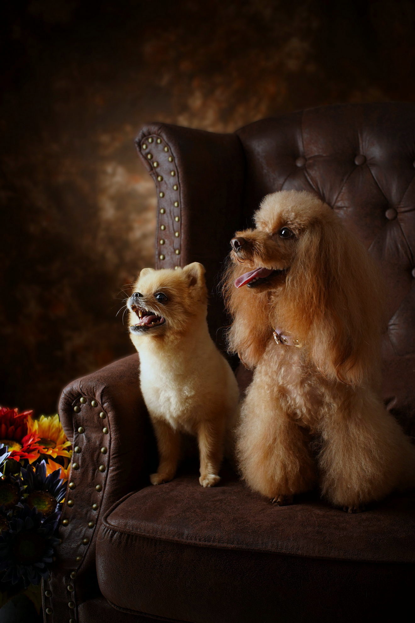 Traditional portrait